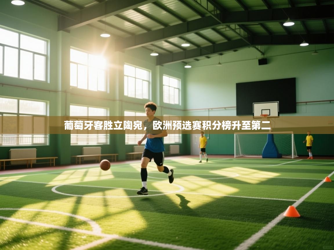 葡萄牙客胜立陶宛,欧洲预选赛积分榜升至第二 第1张